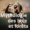 Mythologie de bois et forets - Photo jf Daviaud